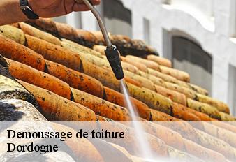 demoussage-de-toiture