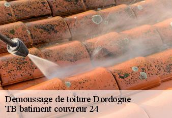 demoussage-de-toiture