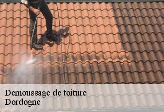 demoussage-de-toiture