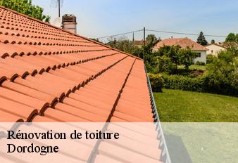 renovation-de-toiture