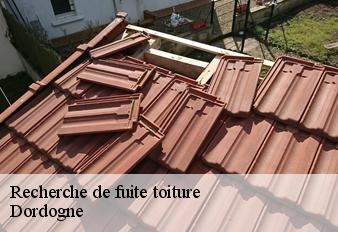 recherche-de-fuite-toiture