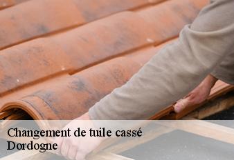 changement-de-tuile-casse