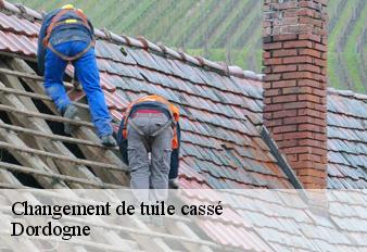 changement-de-tuile-casse