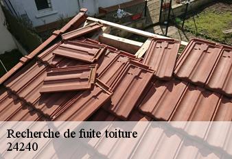 recherche-de-fuite-toiture