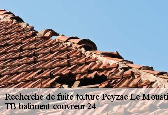 recherche-de-fuite-toiture
