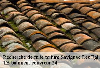 recherche-de-fuite-toiture