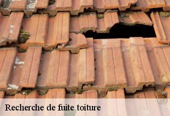 recherche-de-fuite-toiture