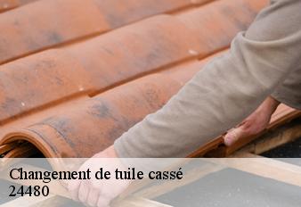 changement-de-tuile-casse