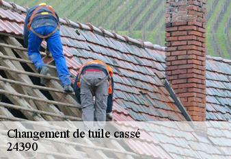 changement-de-tuile-casse