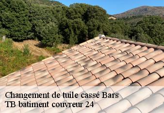 changement-de-tuile-casse
