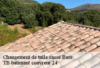 changement-de-tuile-casse