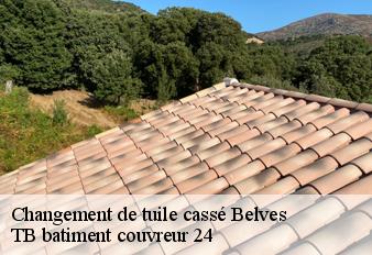 changement-de-tuile-casse