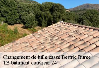 changement-de-tuile-casse