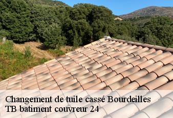 changement-de-tuile-casse