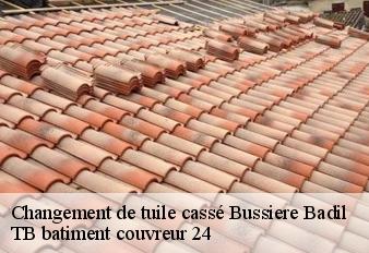 changement-de-tuile-casse