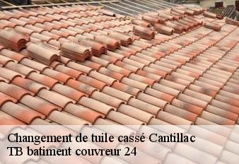 changement-de-tuile-casse