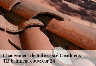 changement-de-tuile-casse