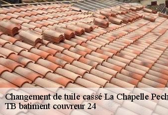 changement-de-tuile-casse