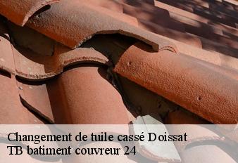 changement-de-tuile-casse