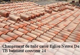 changement-de-tuile-casse