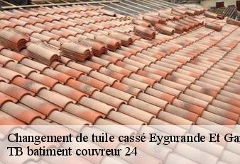 changement-de-tuile-casse