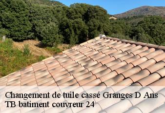 changement-de-tuile-casse