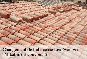 changement-de-tuile-casse