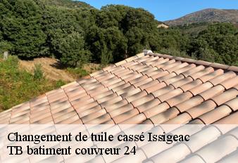 changement-de-tuile-casse