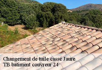 changement-de-tuile-casse