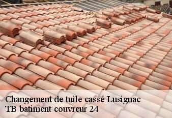 changement-de-tuile-casse