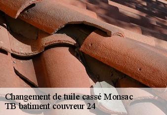 changement-de-tuile-casse