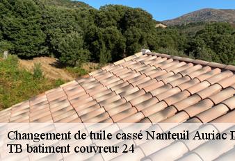 changement-de-tuile-casse