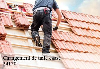 changement-de-tuile-casse