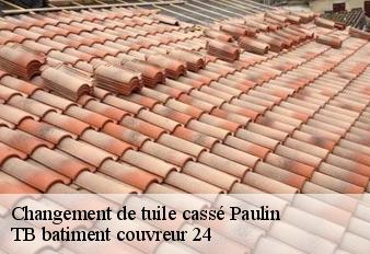 changement-de-tuile-casse