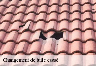 changement-de-tuile-casse