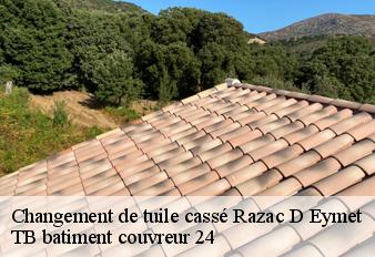 changement-de-tuile-casse