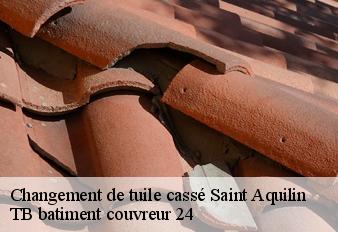 changement-de-tuile-casse
