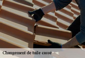 changement-de-tuile-casse