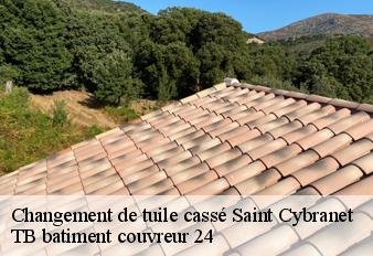 changement-de-tuile-casse