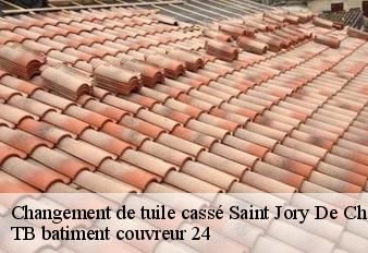 changement-de-tuile-casse