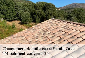 changement-de-tuile-casse