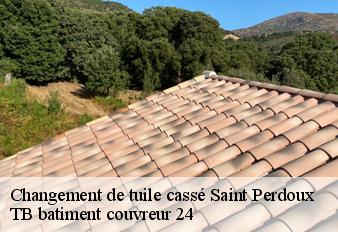 changement-de-tuile-casse