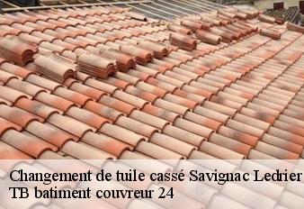 changement-de-tuile-casse