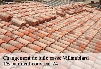 changement-de-tuile-casse