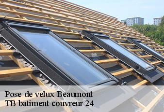 pose-de-velux