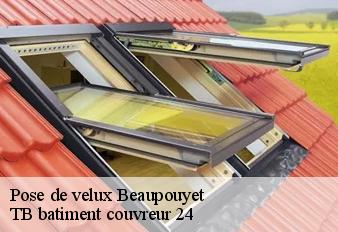 pose-de-velux