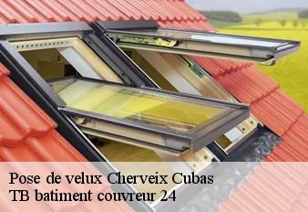 pose-de-velux