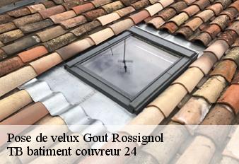 pose-de-velux