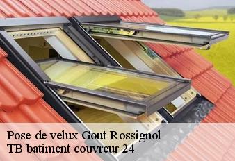 pose-de-velux