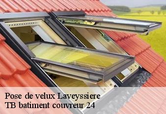 pose-de-velux